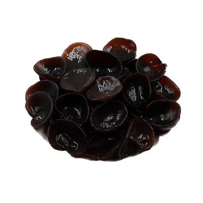 长白山特产东北木耳无根椴木秋木耳黑木耳干货云黄松甸非野生500g