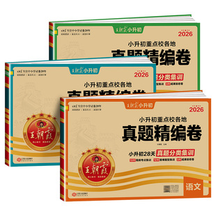 2026新王朝霞试卷小升初真题卷重点校各地真题精编卷语文数学英语人教版专项训练押题小学六年级下册小升初总复习资料模拟测试卷子