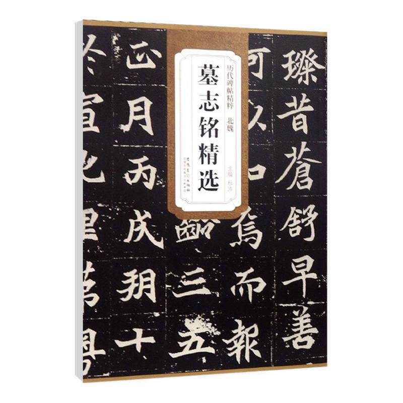 正版北魏墓志铭精选历代碑帖精粹杜浩元桢司马昞和妻孟敬训元显俊崔敬邕李壁张黑女张黑女毛笔书法练字帖安徽美术出版社