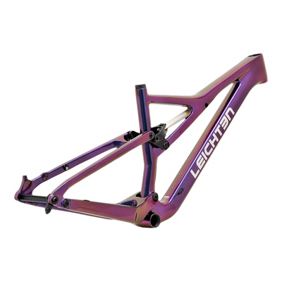 德国来登雪狼碳纤维山地车