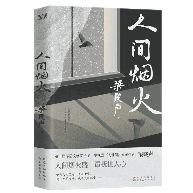 现货】人间烟火 第十届茅盾文学奖得主 电视剧《人世间》原著作者梁晓声作品父亲母亲年轮今夜有暴风雪返城年代雪城毕业生回家