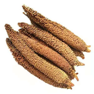 铁树花中药材 500克包邮 正品干花 铁树雄花 凤尾蕉 另有雌花
