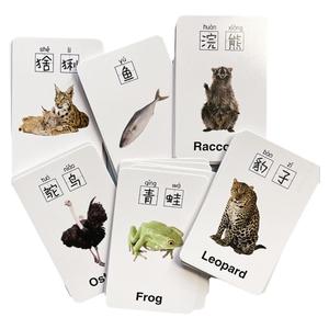 55张中英文动物小卡幼儿园儿童早教启蒙学习认知益智明信片小卡片