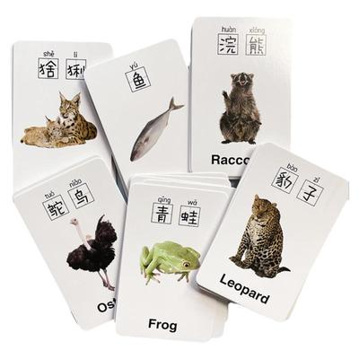 55张中英文动物儿童学习小卡