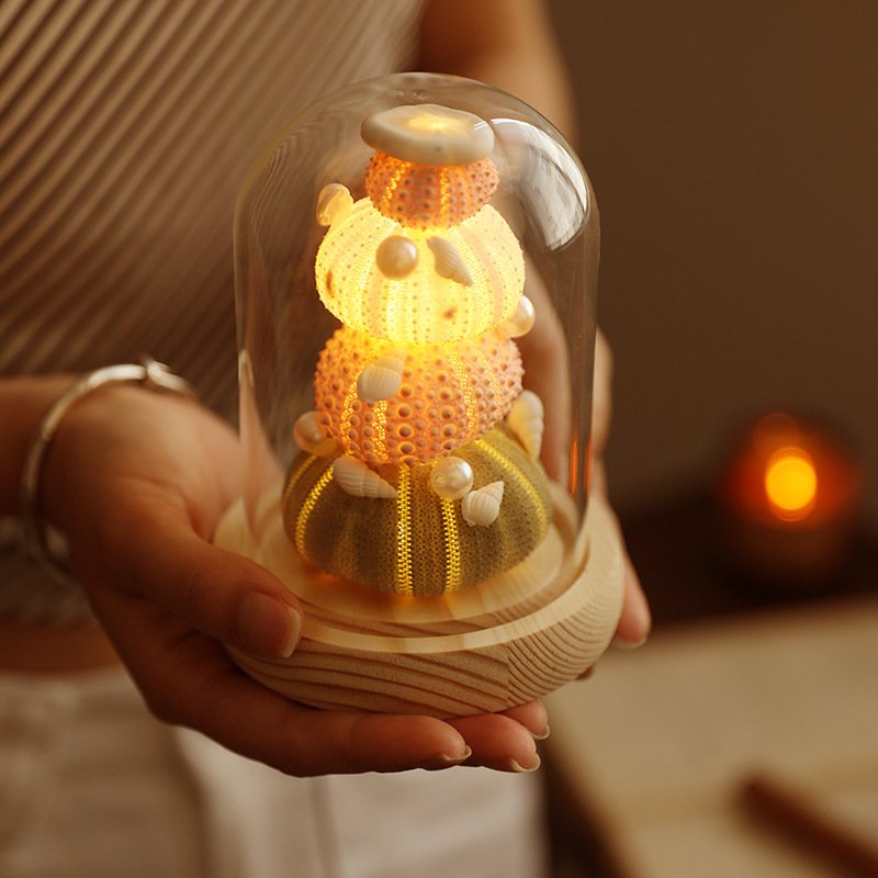 贝壳海胆小夜灯手工diy实用朋友生日礼物感女生摆件桌面高级创意