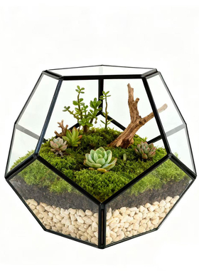 几何苔藓微景观情人节玻璃花房