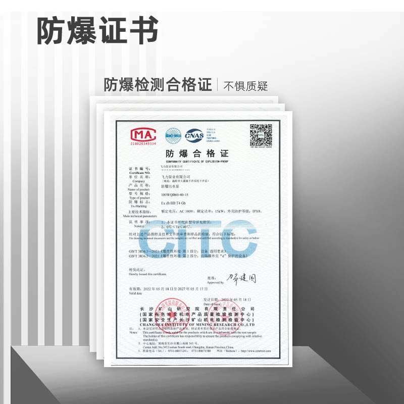 WQB防爆BT4CT4潜水排污泵矿用隔爆大流量潜污泵煤矿无堵塞污水泵