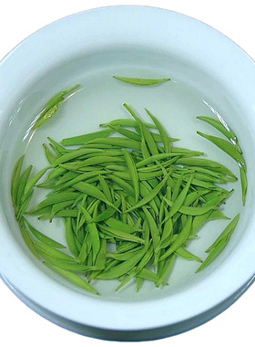 信阳毛尖2026新茶明前特级嫩芽头