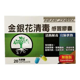 AKAR LAMA金银花清毒感冒胶囊20粒感冒清瘟流感鼻塞发热咳嗽头痛