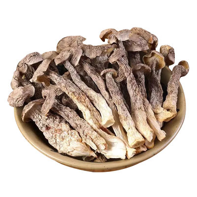 鹿茸菇干货500g包邮特级鹿茸菌无硫新鲜煲汤古田脆脆菇蘑姑干香菇