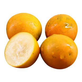 广西融安脆蜜金柑第三代脆蜜5斤大果整箱