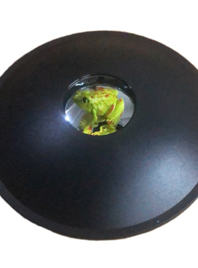 创意摆件幻视全息投影虚物成像
