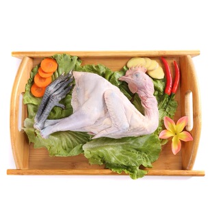 正宗现杀皖南农家散养土鸡童子鸡小公鸡未打鸣土鸡走地鸡仔鸡草鸡