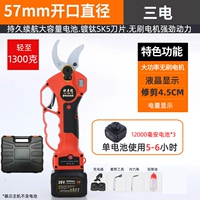 [SMART] [4,5 см] Сан -Диан [работа 18 часов]