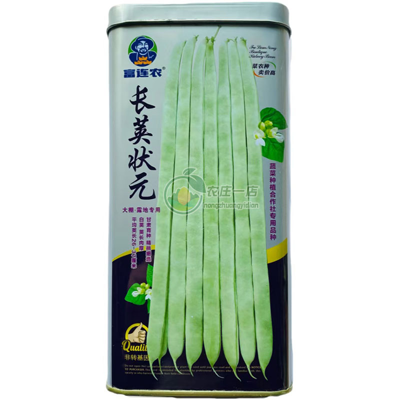 长荚状元芸豆种子高产架豆种籽孑