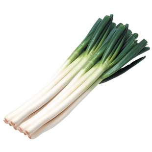 北方种的蔬菜种子大全四季萝卜白菜菠菜菜心大葱高产阳台菜籽子