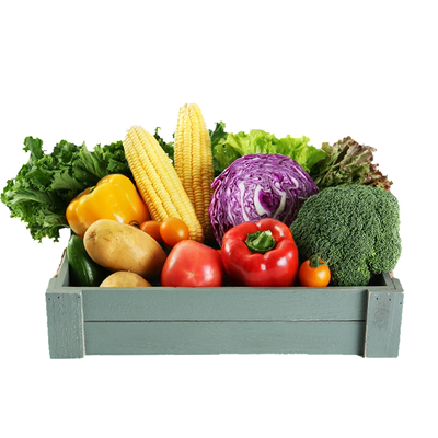 旭耕有机蔬菜套餐礼品