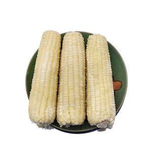 光明农场新白糯玉米棒甜粘黏低脂软糯香甜拉丝苞谷真空包装袋即食