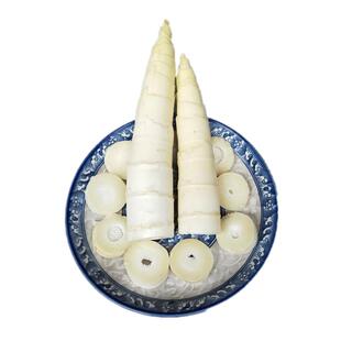 临安春笋新鲜现挖竹笋油焖笋浙江特产农家惊雷笋腌笃鲜孵笋鲜嫩笋