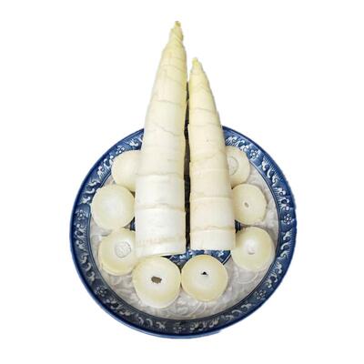 临安春笋新鲜现挖竹笋油焖笋浙江特产农家惊雷笋腌笃鲜孵笋鲜嫩笋