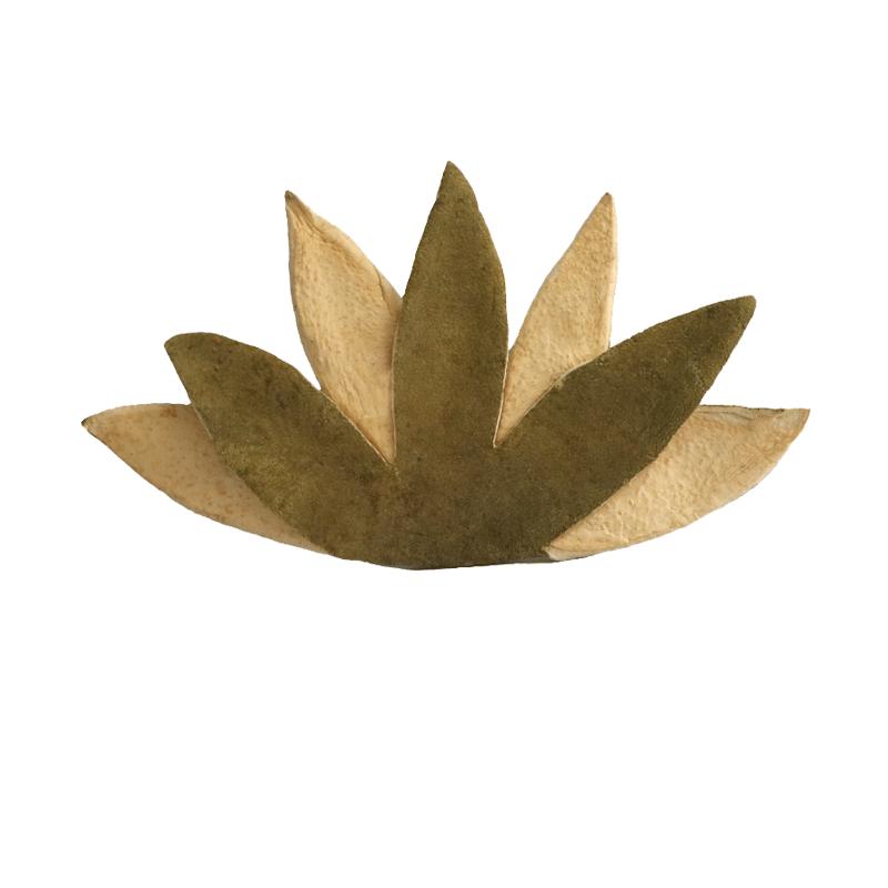 賴?yán)顖@化州橘紅果皮七爪化橘紅皮茶陳年正毛桔紅茶手工工藝10片
