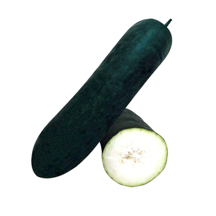 广东黑虎大冬瓜种子种籽苗特大巨型黑皮蔬菜孑东瓜蔬莱春天菜苗秧