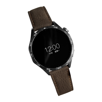 CLOUDHIS适用华为手表GT5表带