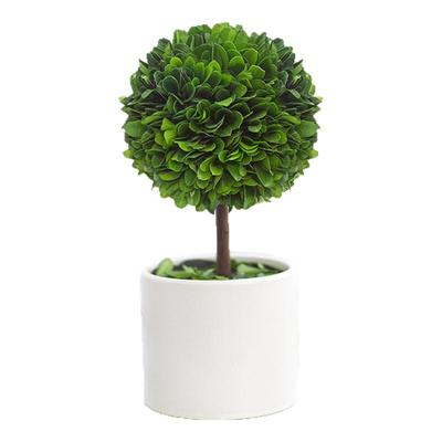 办公室桌面盆栽客厅书桌绿植摆件