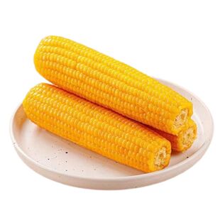 当季新鲜东北黄糯玉米香粘粘苞米黑土种植软糯香甜独立真空包装