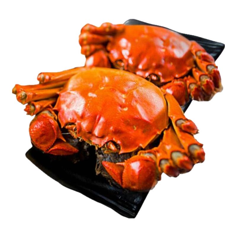 活蟹直发【官方正品】特大现货正宗固城湖大闸蟹全母蟹3.0两8只装 全活实拍商品图