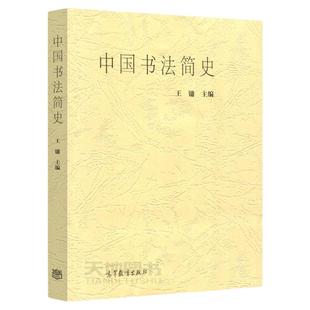 中国书法简史 第二版第2版 王镛 高等教育出版 书法艺术书法历史传统书法 中国汉字书法美术史 美术书法专业本专科高师高专教材书