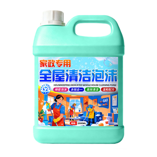 家政专用全屋大扫除多功能泡沫清洁剂强力去污家庭搞卫生神器叁