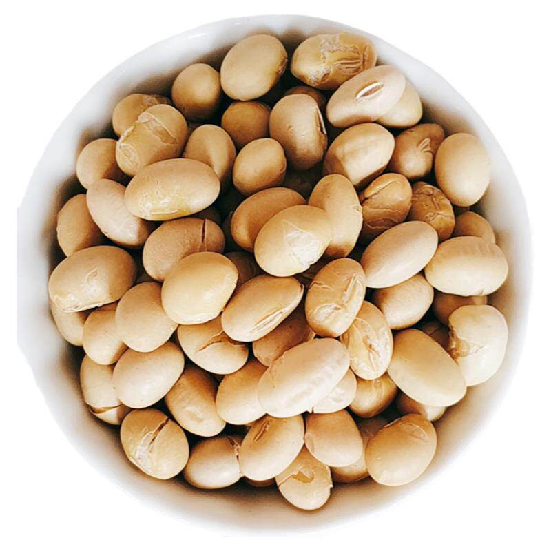 蔚献黄豆250熟即食休闲坚果