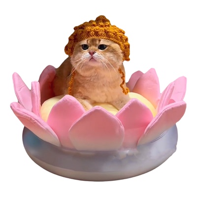 猫咪佛祖头套搞笑编织宠物狗狗变装帽可爱英短保暖猫搞笑帽子饰品