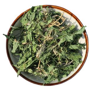 新鲜野生水洗晒干紫花地丁 天然犁头草中药材 正品小米饭中草药