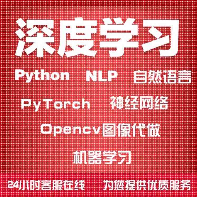 Python深度机器学习NLP自然语言PyTorch神经网络Opencv图像代做