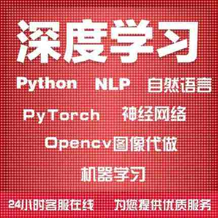 Python深度机器学习NLP自然语言PyTorch神经网络Opencv图像代做
