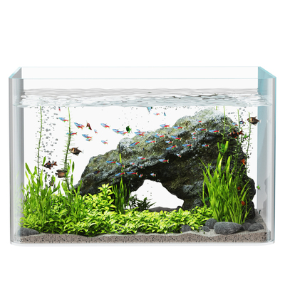 超白玻璃鱼缸热弯小型客厅生态