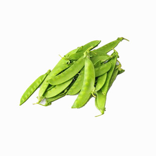 台湾软荚豌豆种籽荷兰豆种子原装四季播菜种子甜豌豆子春秋种孑