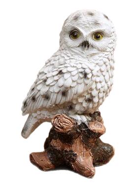 创意猫头鹰设计树脂摆件造景