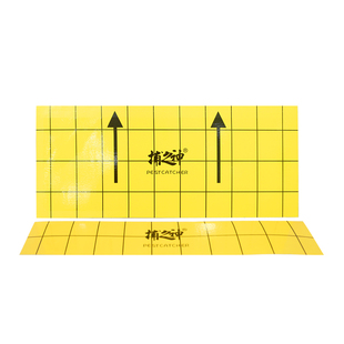粘捕式灭蚊蝇灯诱虫专用粘纸强力贴虫纸苍蝇纸双层GM610/GM611型