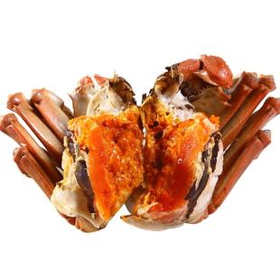 活蟹现货大闸蟹鲜活超大公蟹7两母蟹5两特大螃蟹礼盒蟹皇蟹后湖蟹