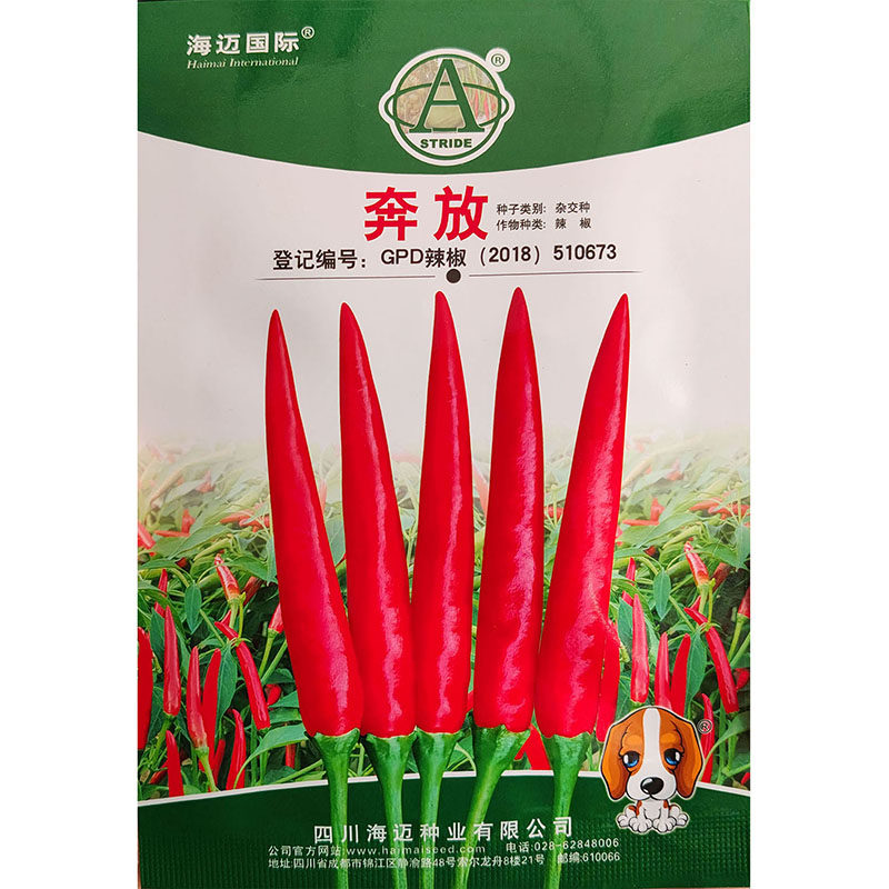 奔放小米椒辣椒蔬菜种子孑籽杂交高产朝天椒特辣辣下饭春夏秋青红
