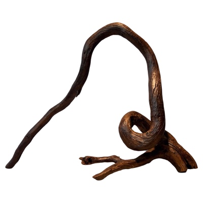 二马81-100cm龙虎鱼拱桥型沉木