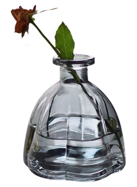 欧式玻璃花瓶家居插花小口瓶