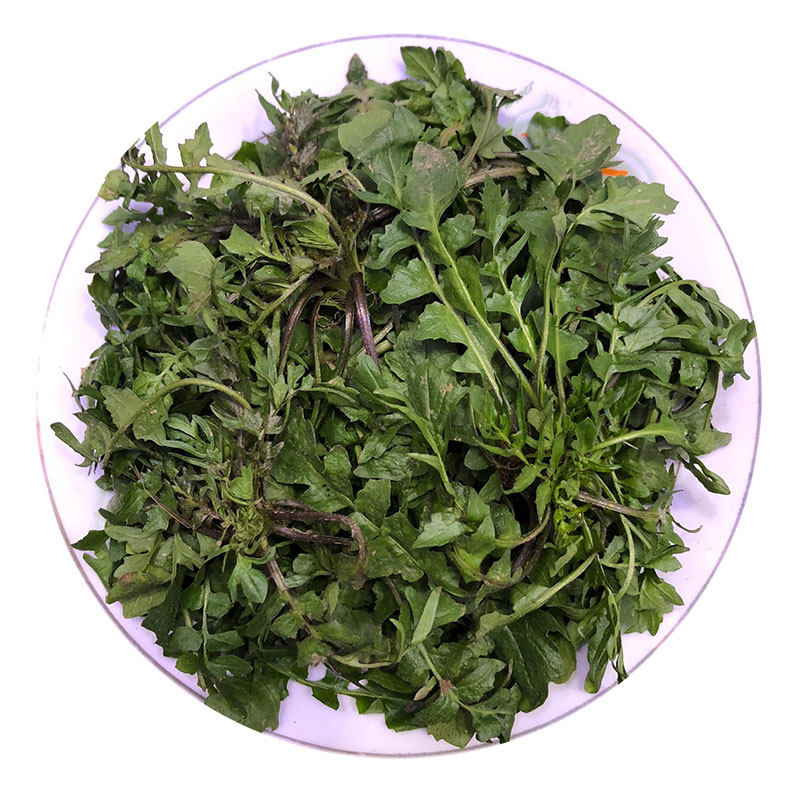 陕西秦岭野生荠菜新鲜现挖现发