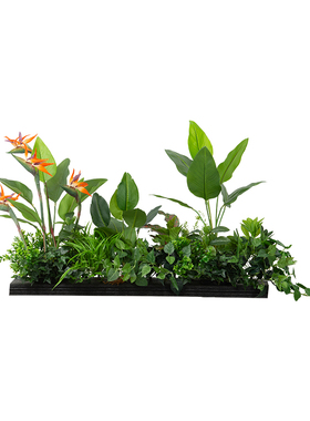 百卉仿真天堂鸟绿植造景隔断花艺