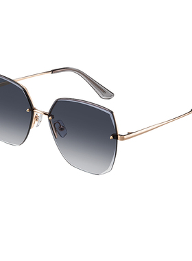 海俪恩新款太阳眼镜女经典无框蝶形修颜大框墨镜潮N8223