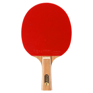 正品乒乓球拍专业级单拍十星直拍横拍9层碳素6星进攻比赛高弹球拍