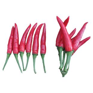 香辣二金条辣椒种子大金条红线椒种子二荆条辣椒籽高产庭院种籽